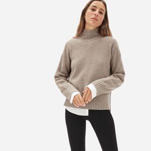 Everlane Cashmere Wool Stroopwafel Turtleneck Sweater